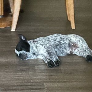 Meet your Posher, Kyle